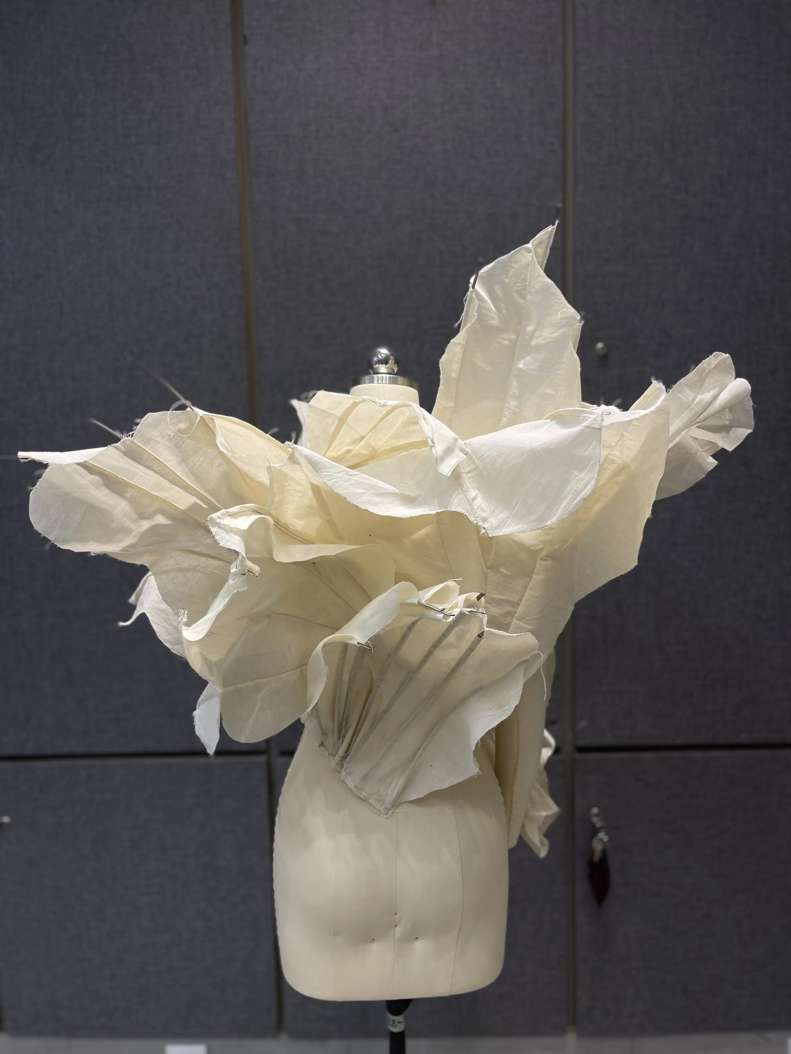 Thesis draping