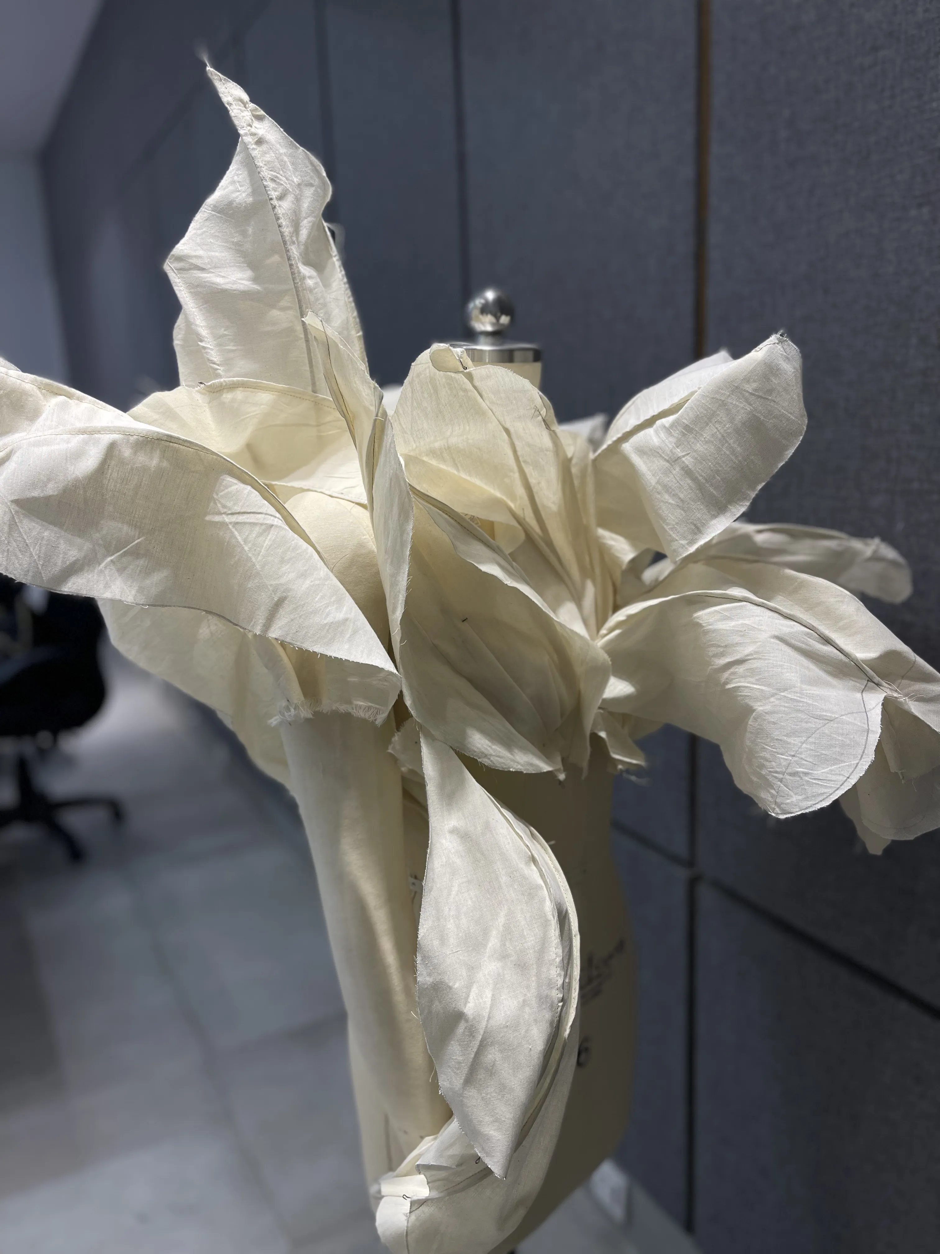 Thesis draping
