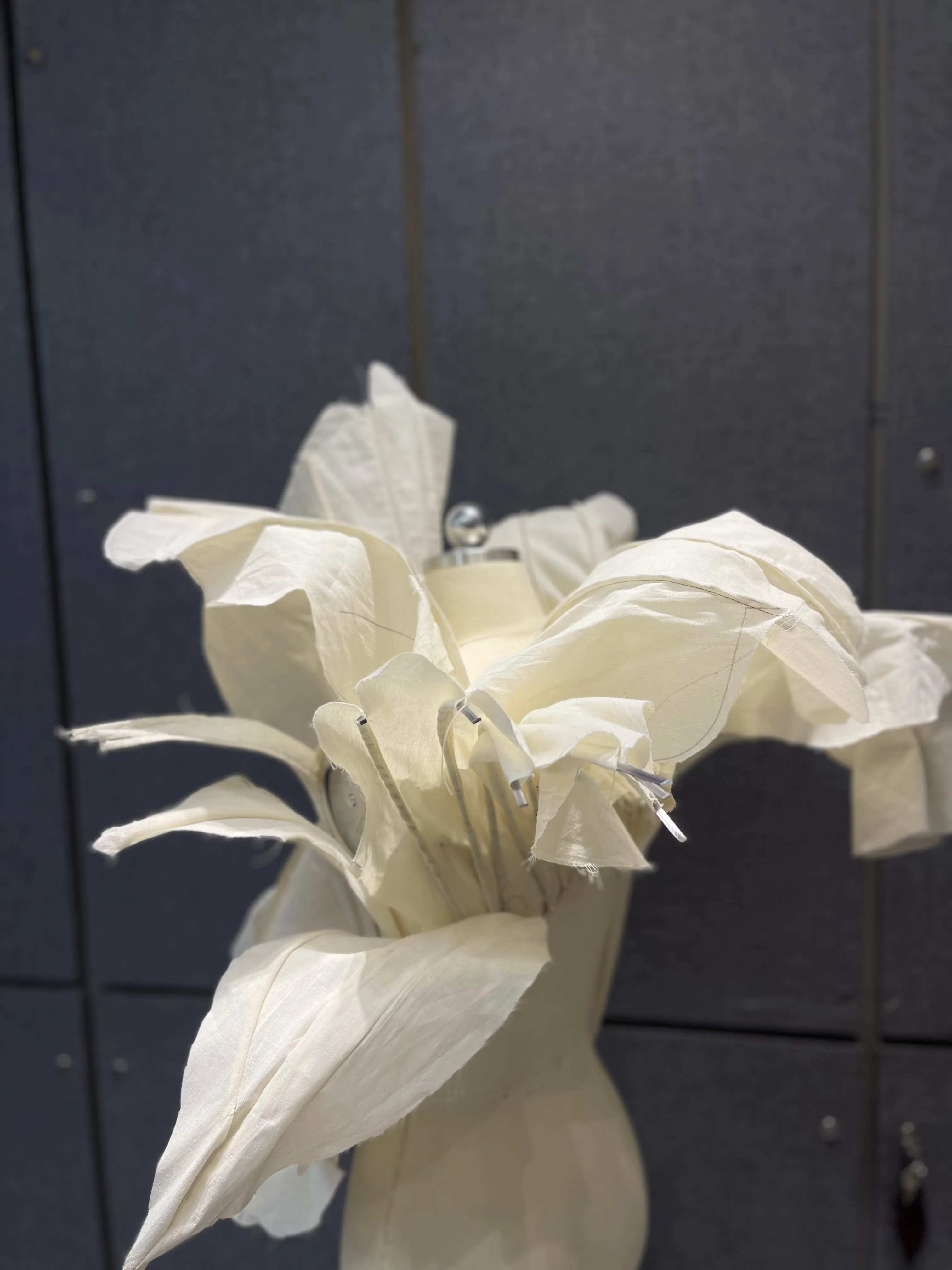 Thesis draping