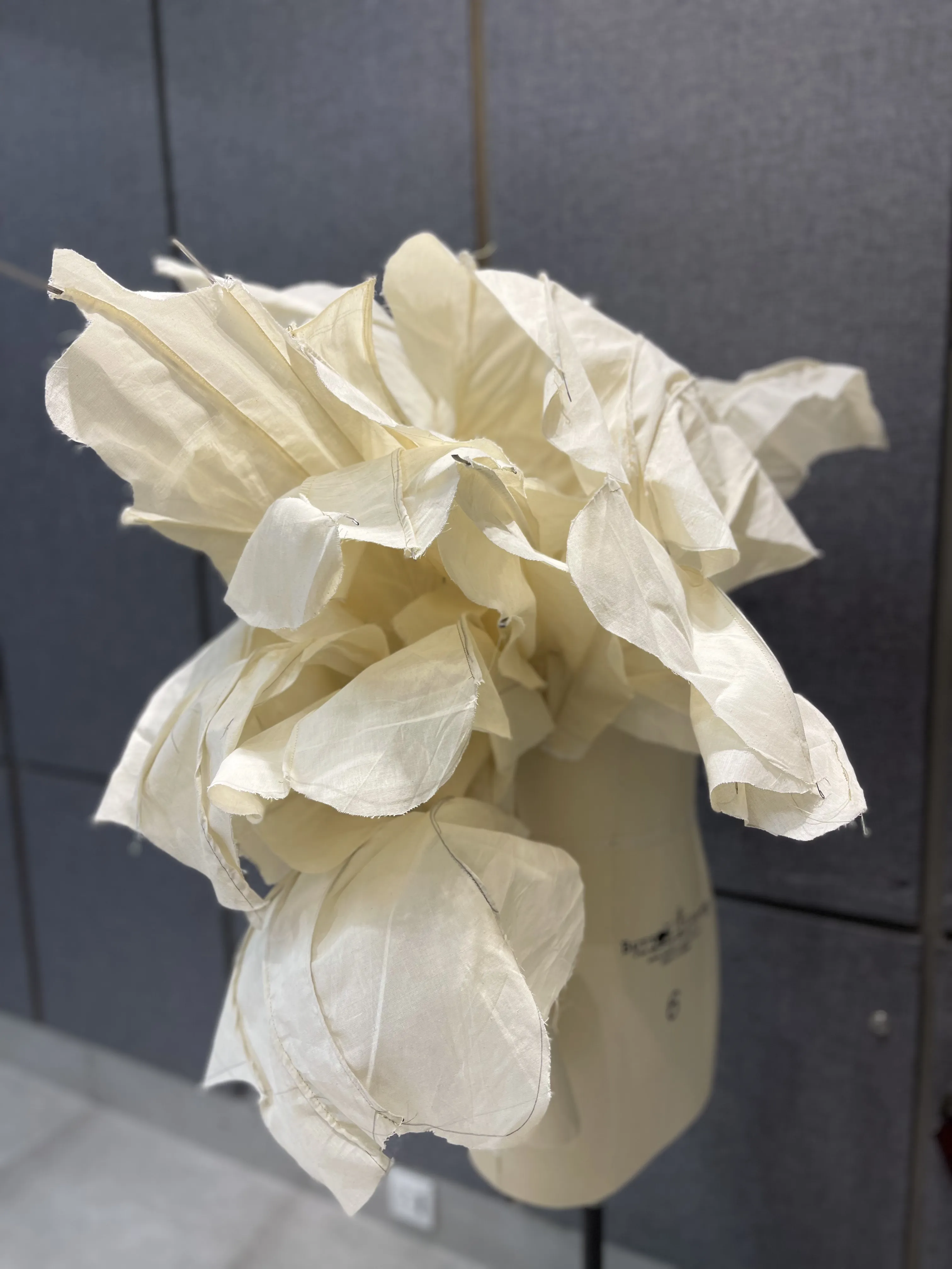 Thesis draping