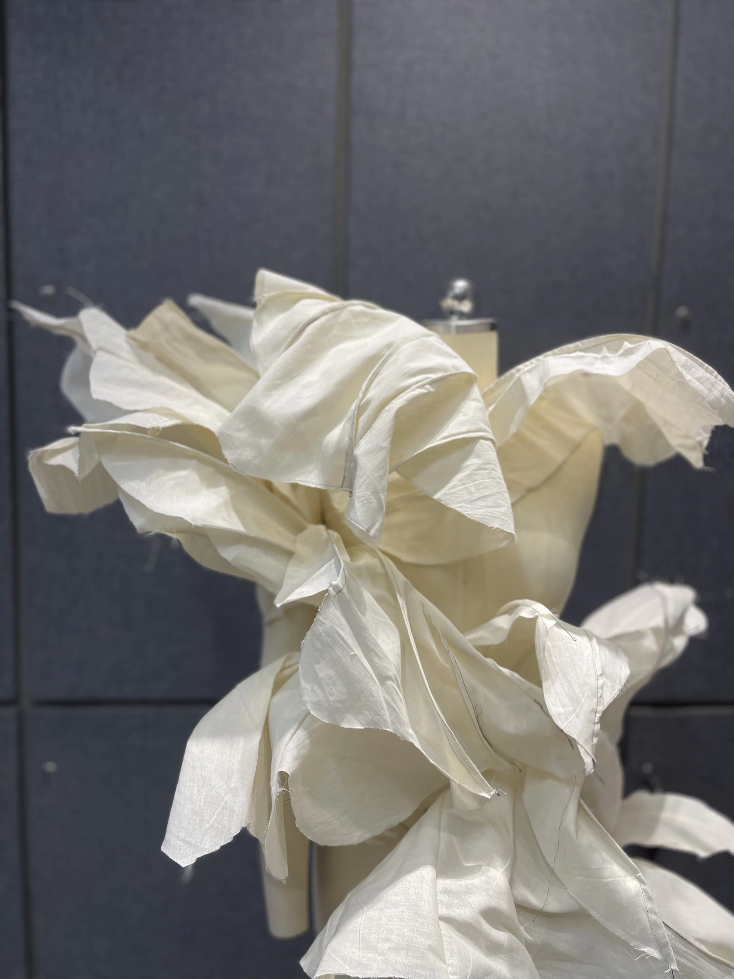Thesis draping