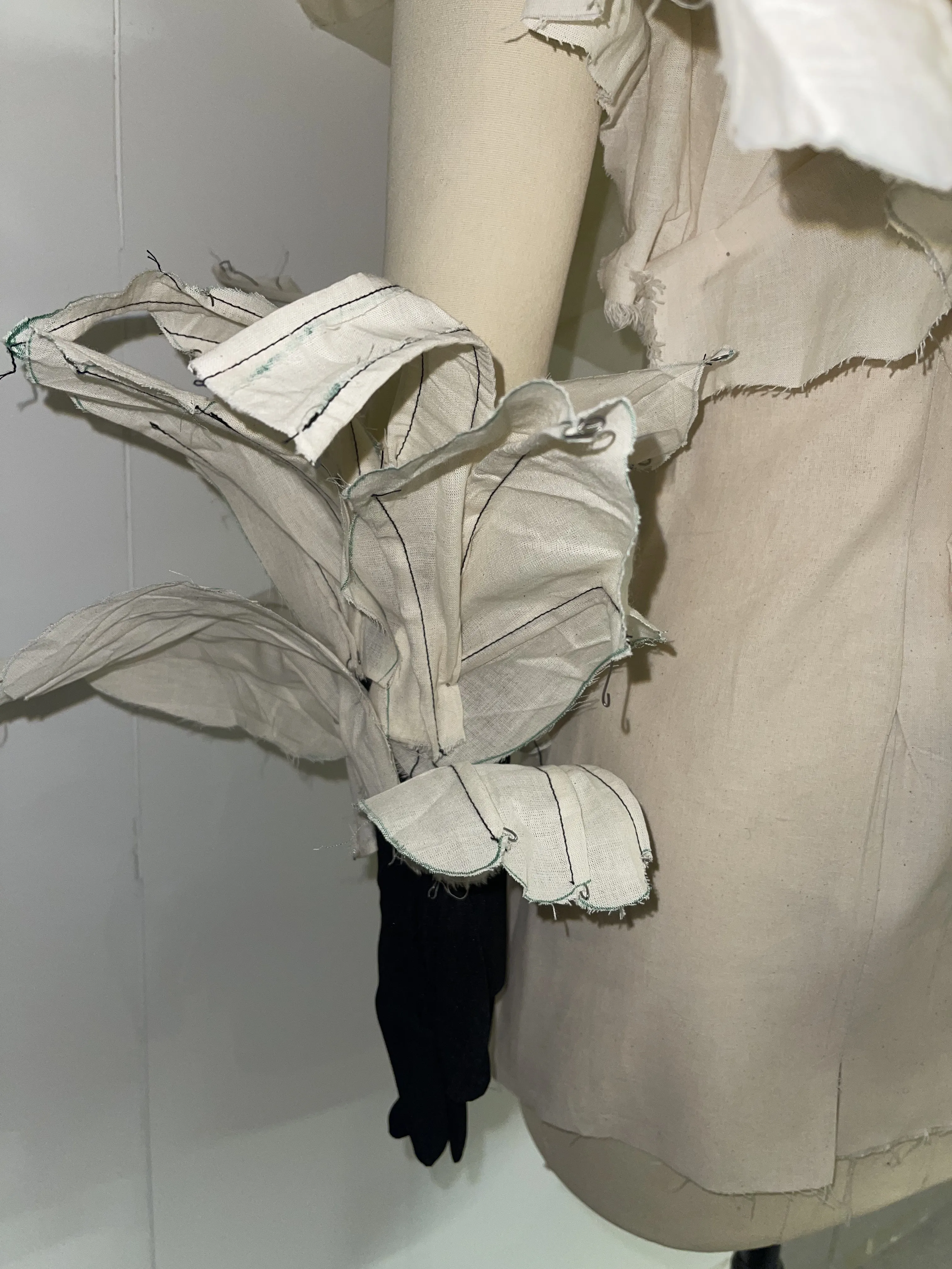 Thesis draping
